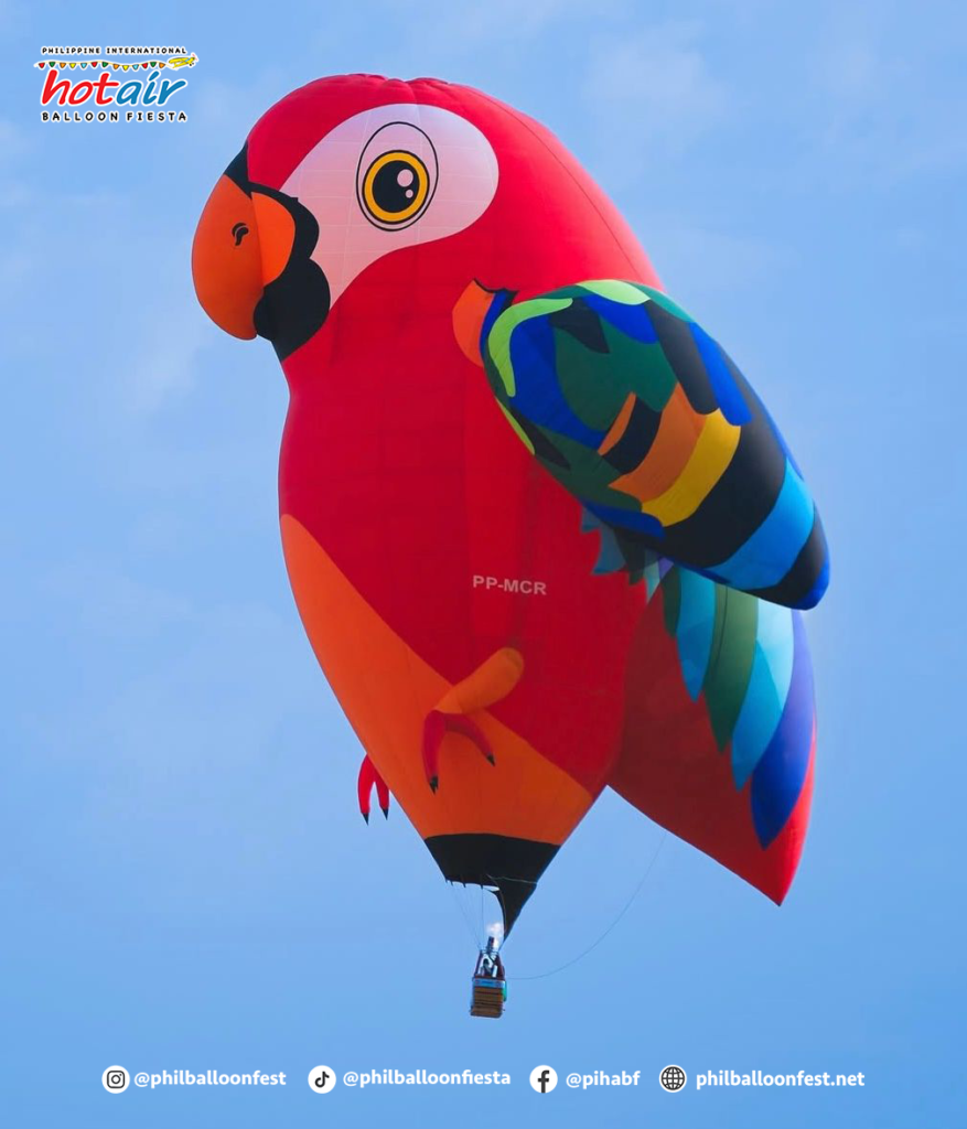 red macaw